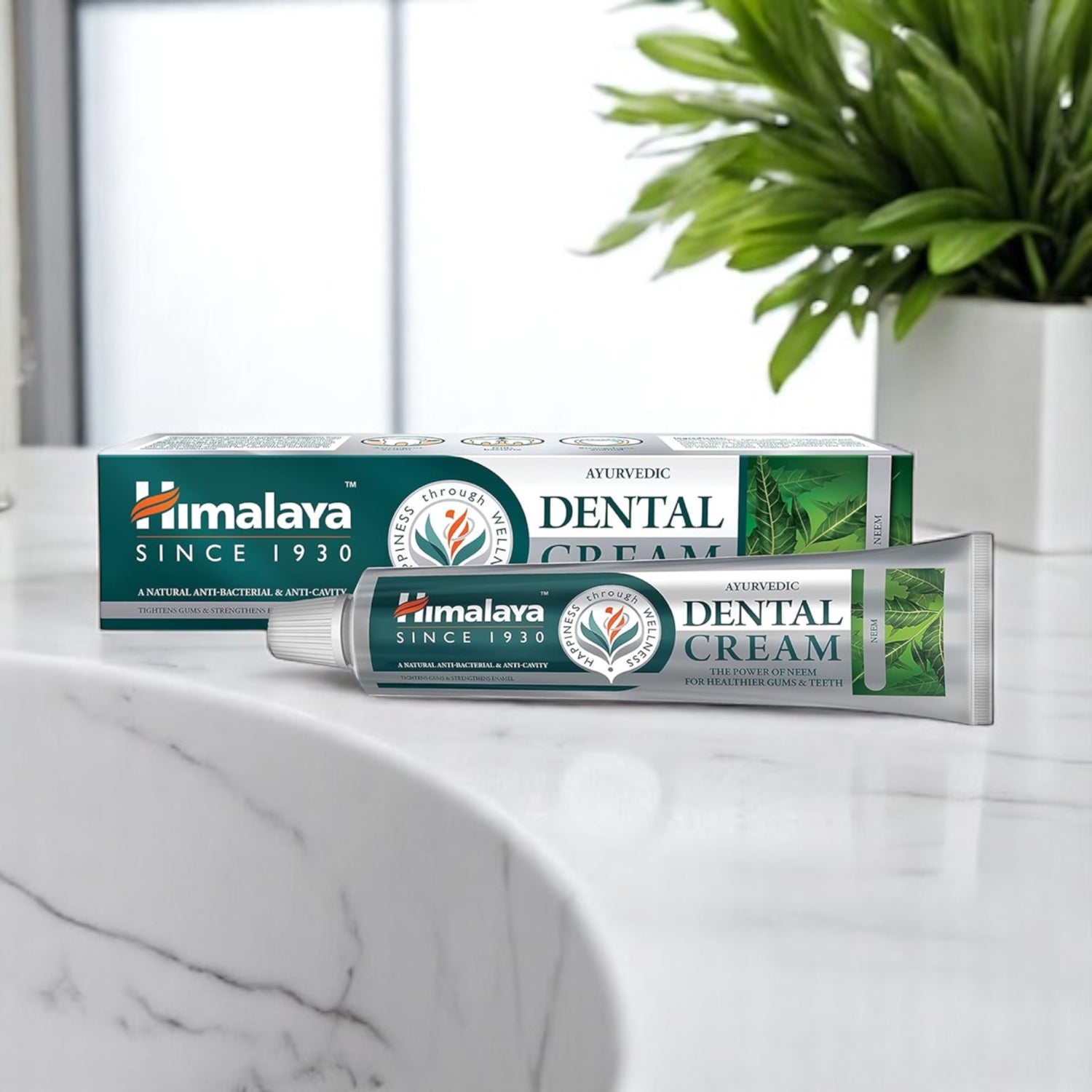 Dentifricio Ayurvedico al Neem - 100 g Antibatterico - Antinfiammatorio